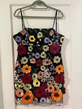 Cider Black Floral Dress with Bright Embroidered Blooms